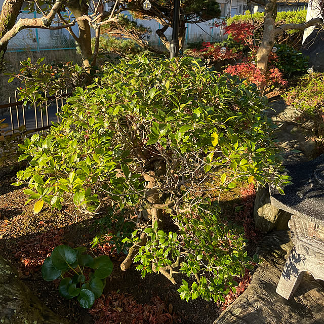 shin0719さんの部屋