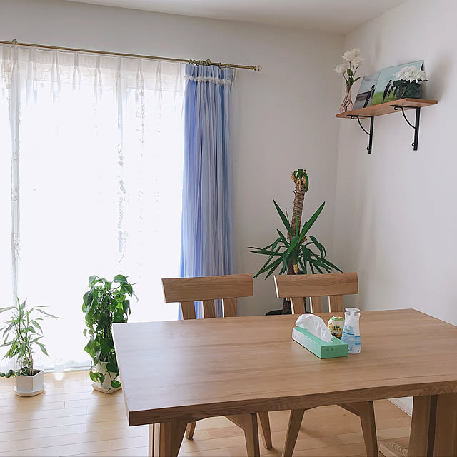 観葉植物/ハンドメイド/DIY/雑貨/北欧...などのインテリア実例 - 2019-06-16 13:33:14