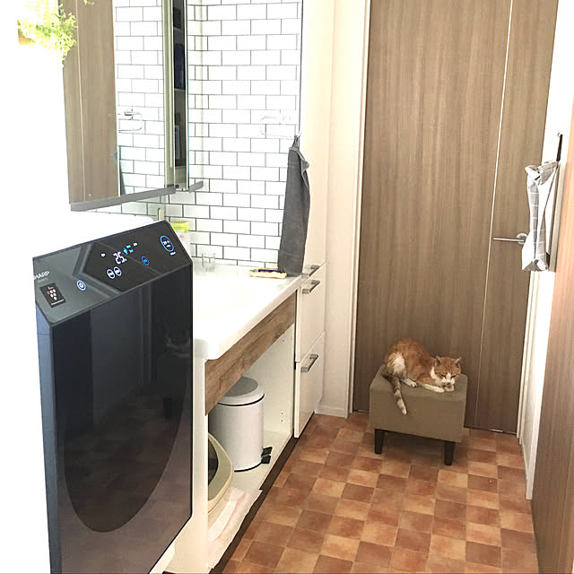 mamizoさんの実例写真