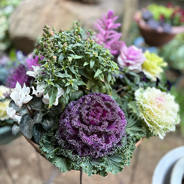 buchiさんの部屋