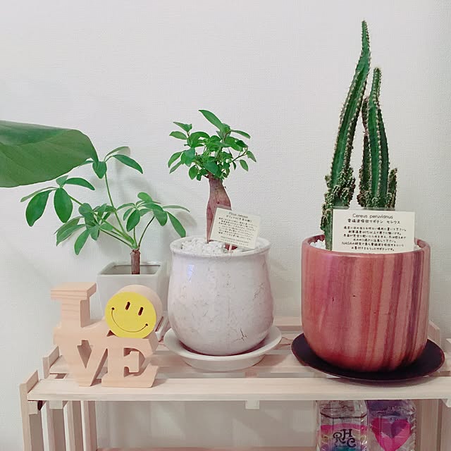kerocoさんの実例写真