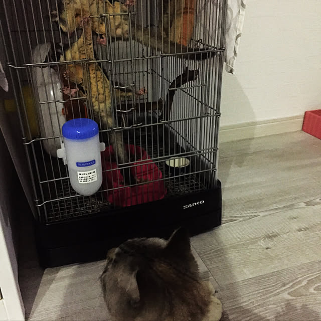 mieさんの実例写真