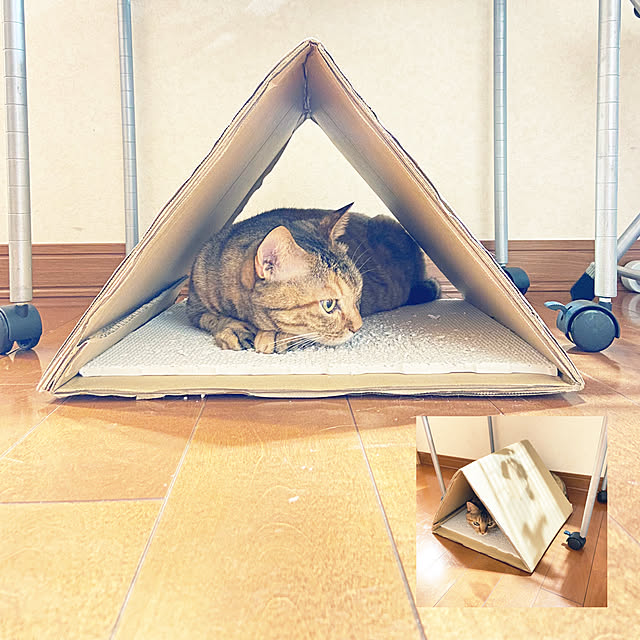 hansho.sさんの実例写真