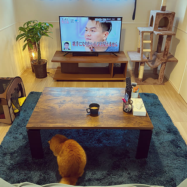 Ayumiさんの実例写真