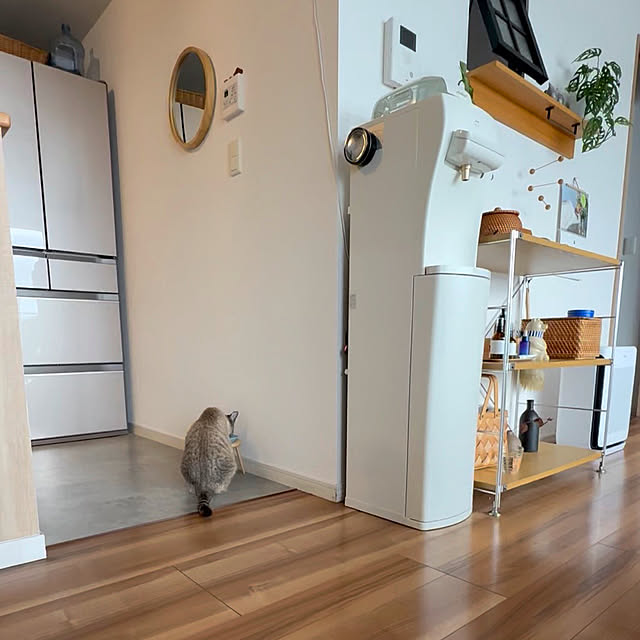 amさんの実例写真