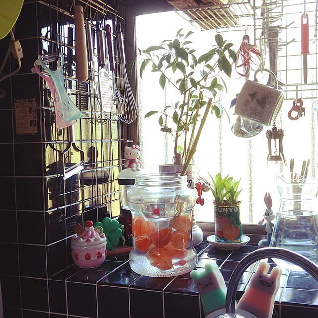 kikuさんの実例写真