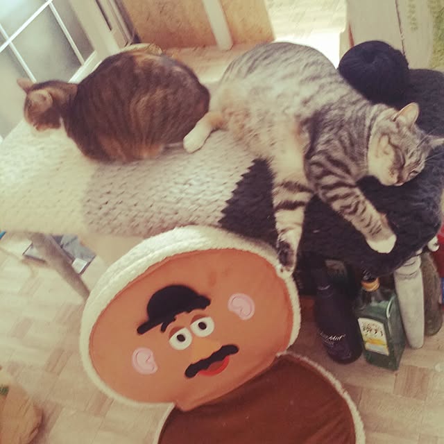annさんの実例写真