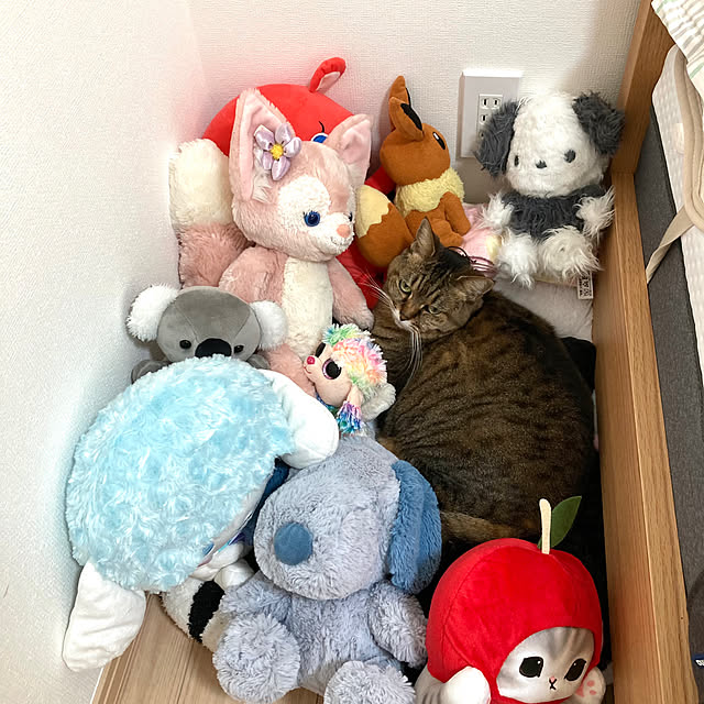 kirinsanさんの部屋
