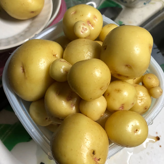 実例写真