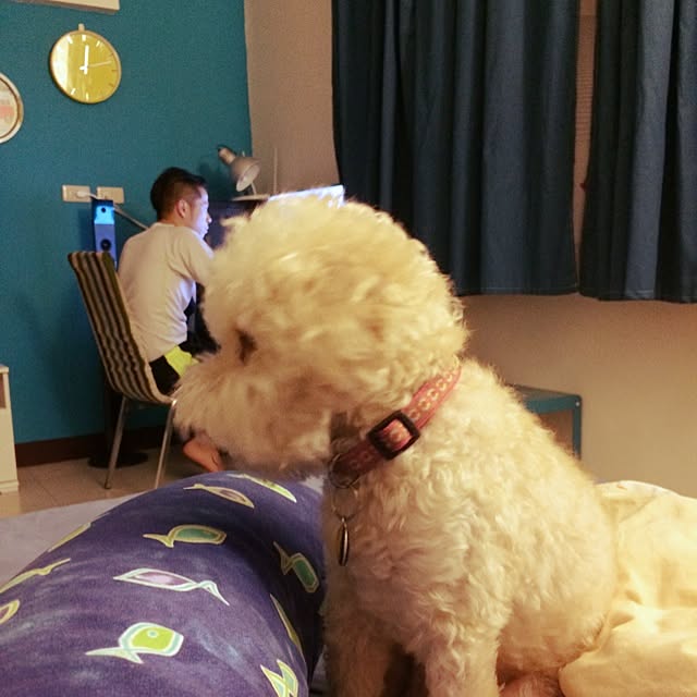 kikiさんの実例写真