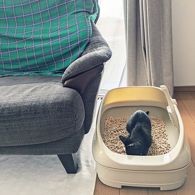 MyuRuuさんの実例写真