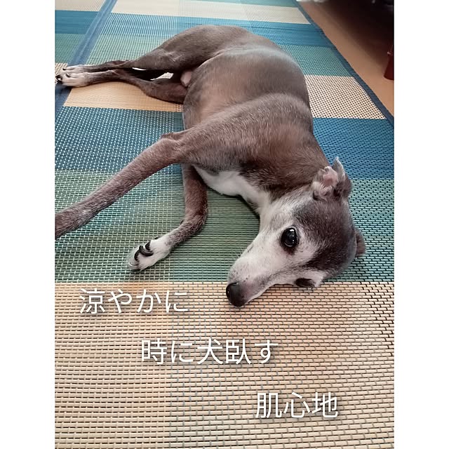 moruさんの部屋
