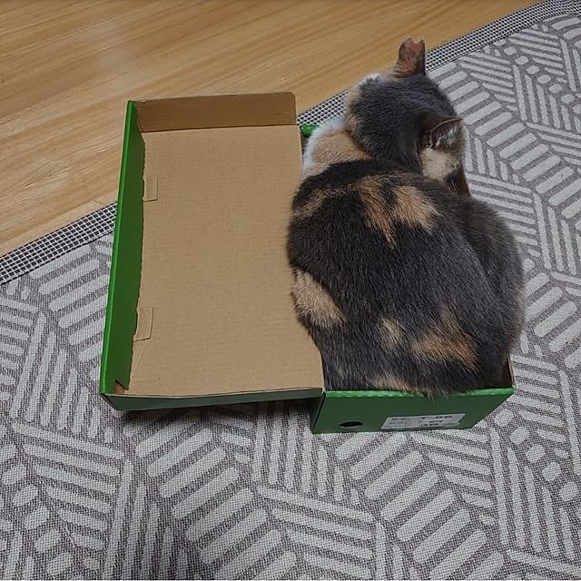 fukuさんの部屋