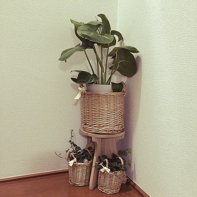 ykmr1911さんの実例写真