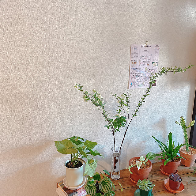 smallroomさんの実例写真