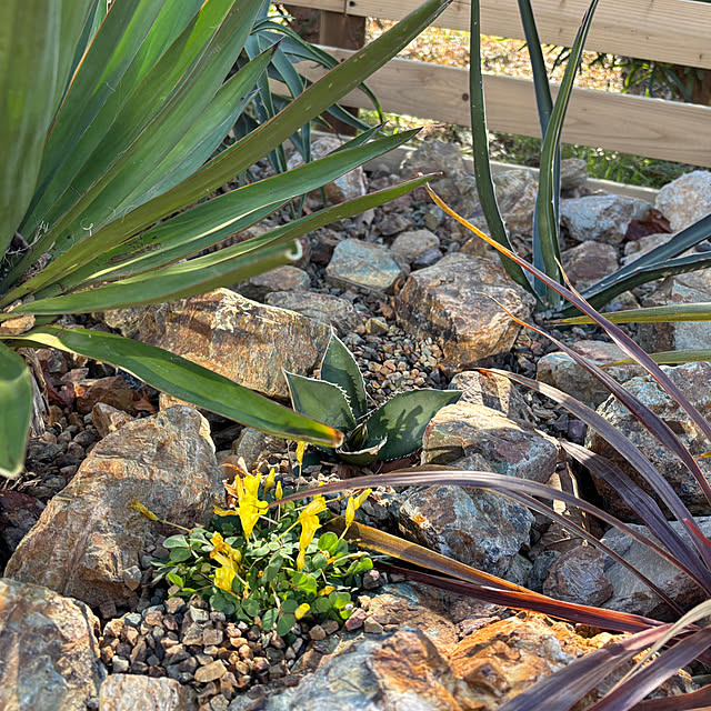 bonjiri0824さんの実例写真