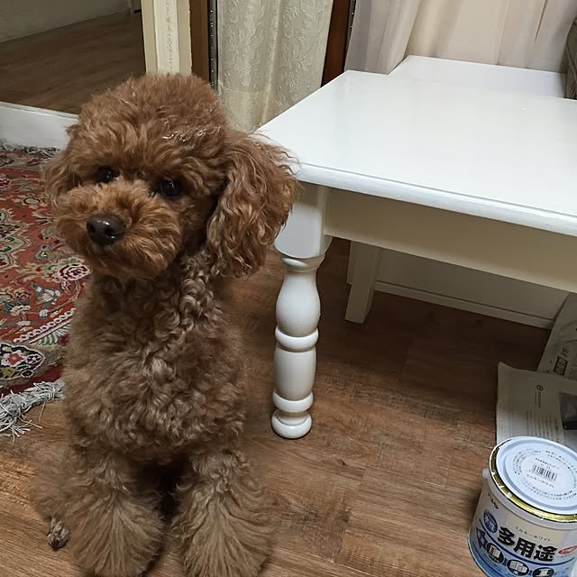 Naomiさんの実例写真