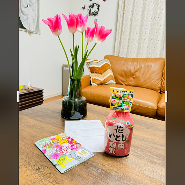 uki-uki77さんの実例写真