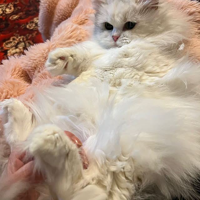 AYUKOさんの部屋