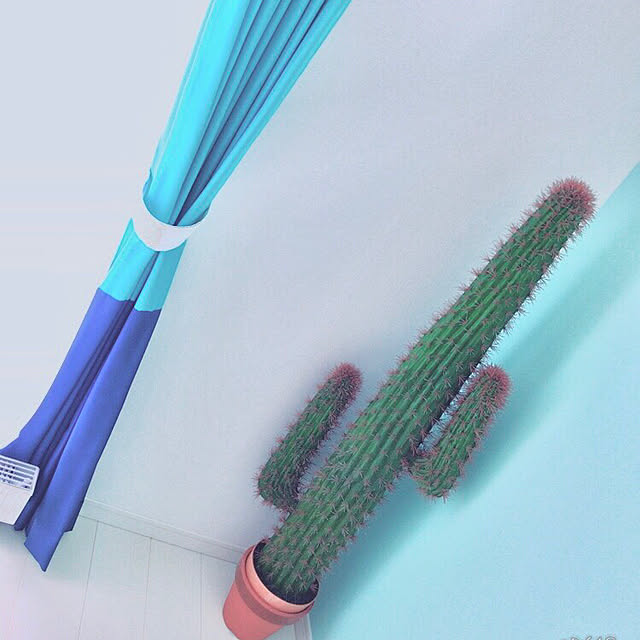 akitanmamaさんの実例写真