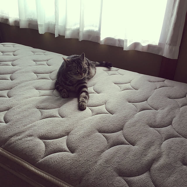 richanさんの実例写真