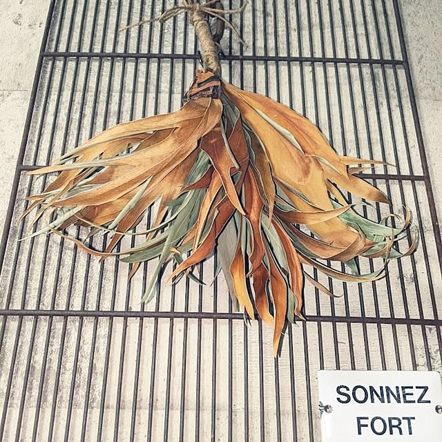 11wksさんの部屋