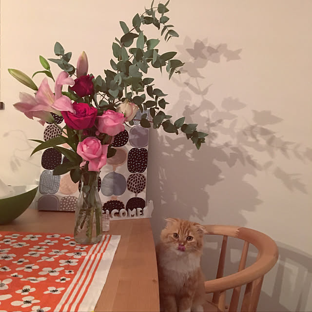 PIYOLANDさんの実例写真