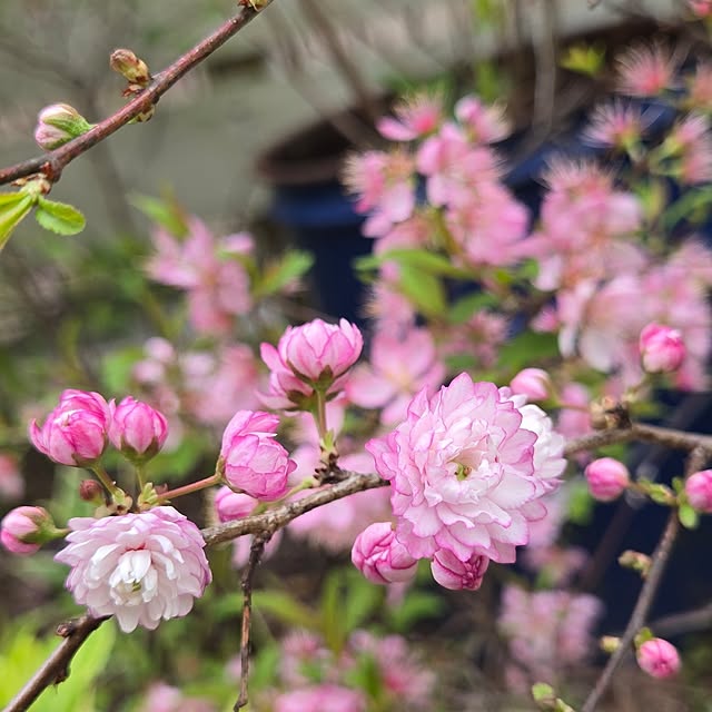 min_nimさんの部屋