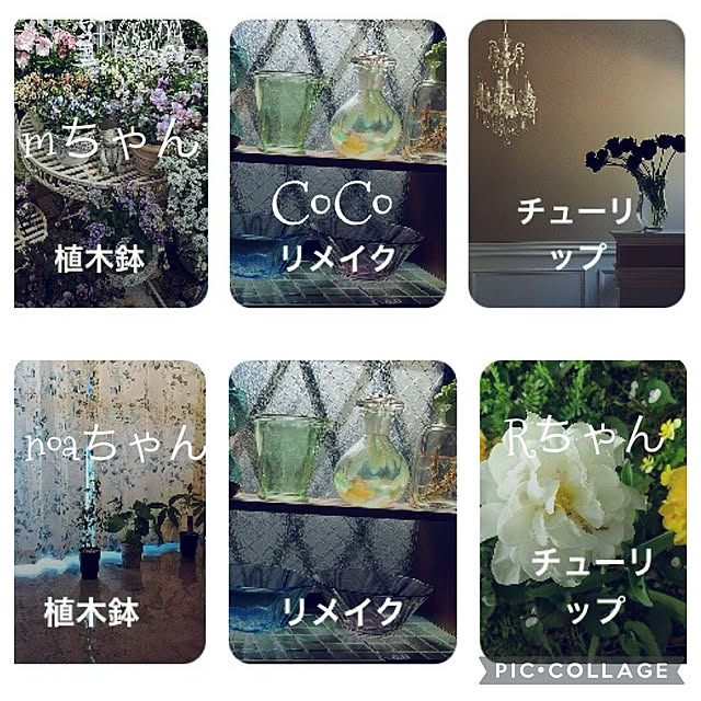 CoCo0617さんの実例写真