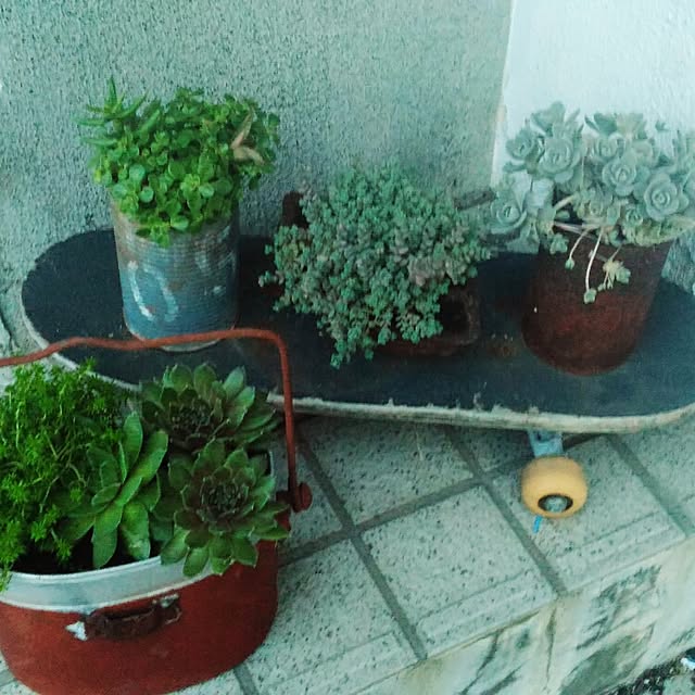 namiさんの実例写真