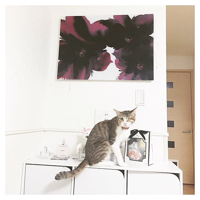 chiroさんの実例写真