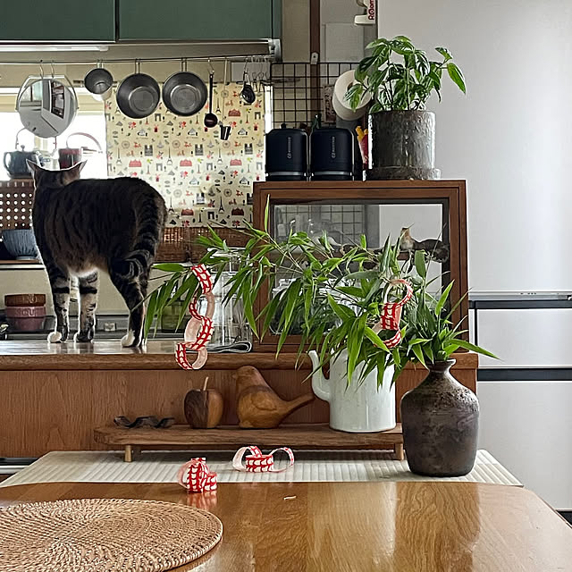 nobikoさんの部屋
