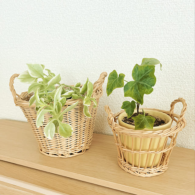 RAKI_Homeさんの実例写真
