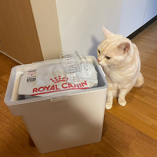 hiyupan88さんの部屋