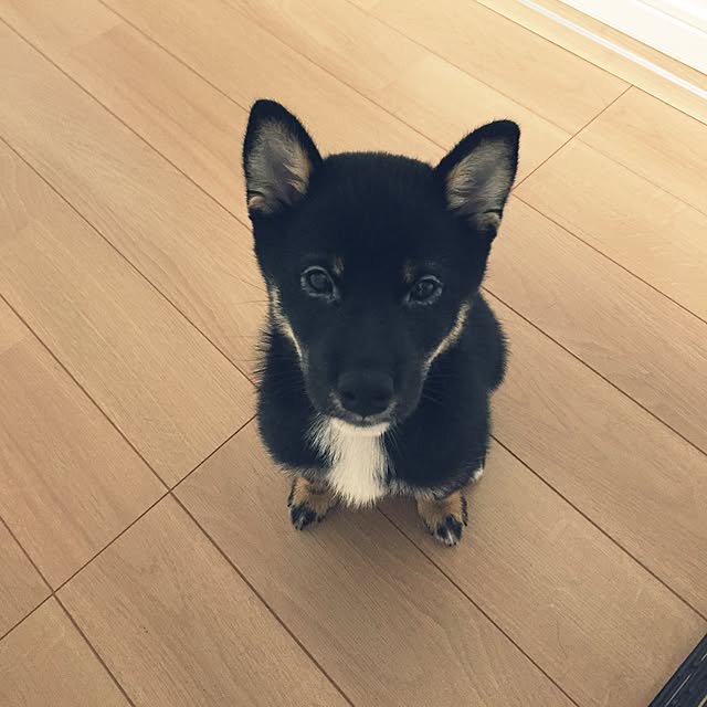 marocoroさんの実例写真