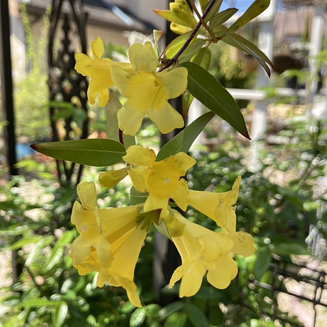 min_nimさんの実例写真