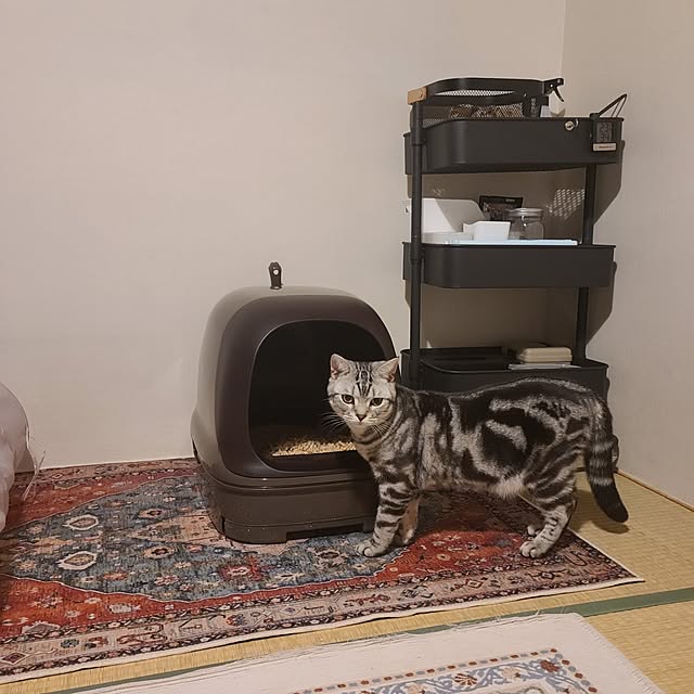 lovepeaceさんの部屋