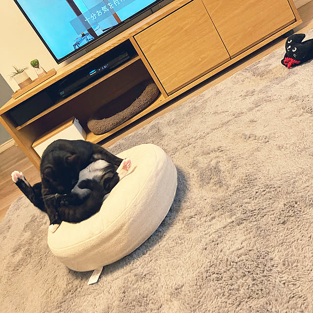 masamasaさんの実例写真