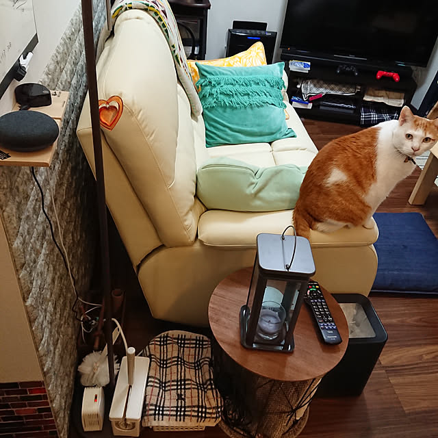 porinさんの実例写真