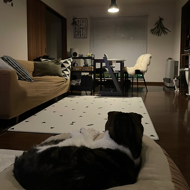tansukeさんの部屋