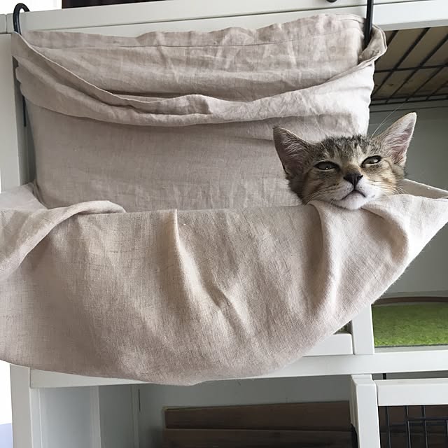 mikomaruさんの実例写真