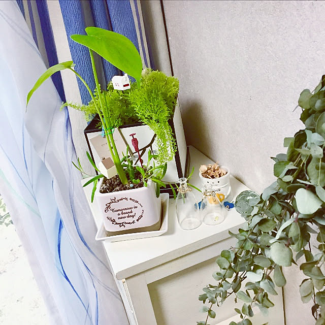 takakoさんの実例写真