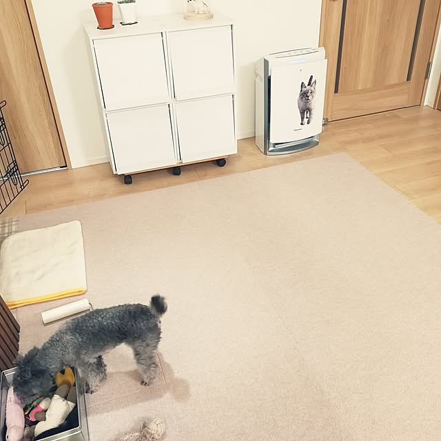 momoさんの実例写真