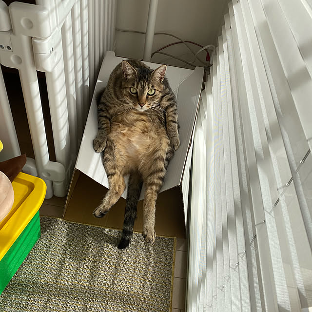 mikomaruさんの実例写真