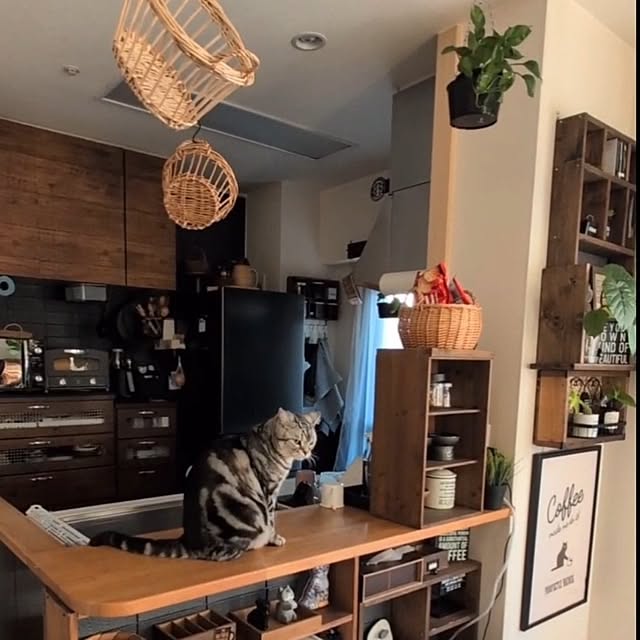 lovepeaceさんの実例写真