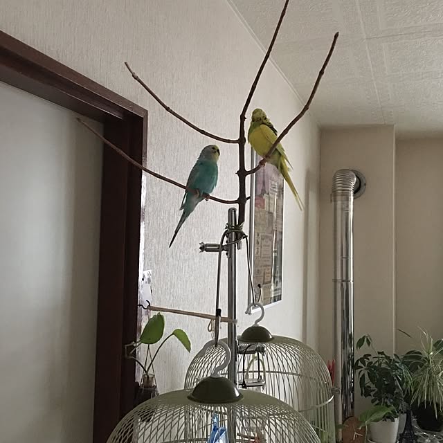 Keisukeさんの実例写真