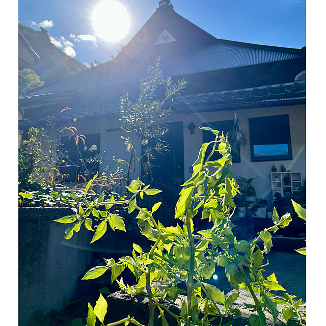 cotaさんの実例写真