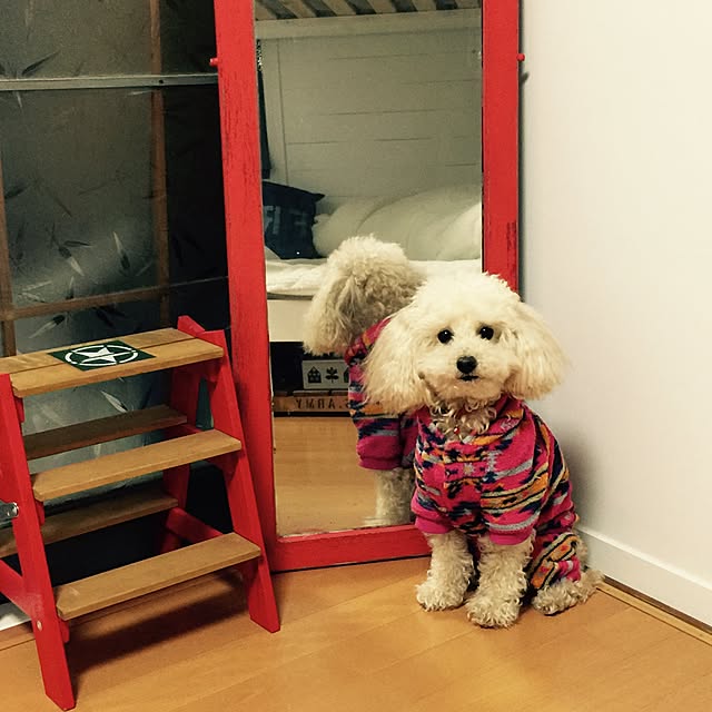 nb28msさんの実例写真