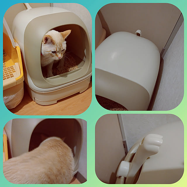 mntcさんの実例写真