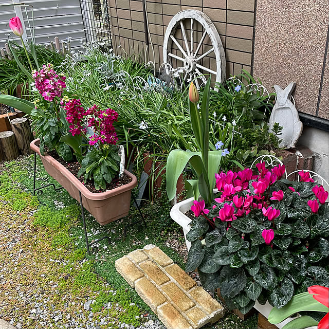 puriyuzuさんの実例写真